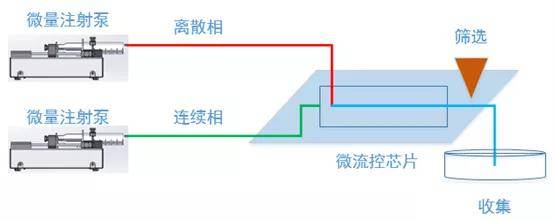 微流控單細胞分析 實驗室微量注射泵
